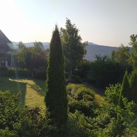 Apartmán Apratman Julie - Bavorska Ruda Bayerisch Eisenstein Exteriér fotografie