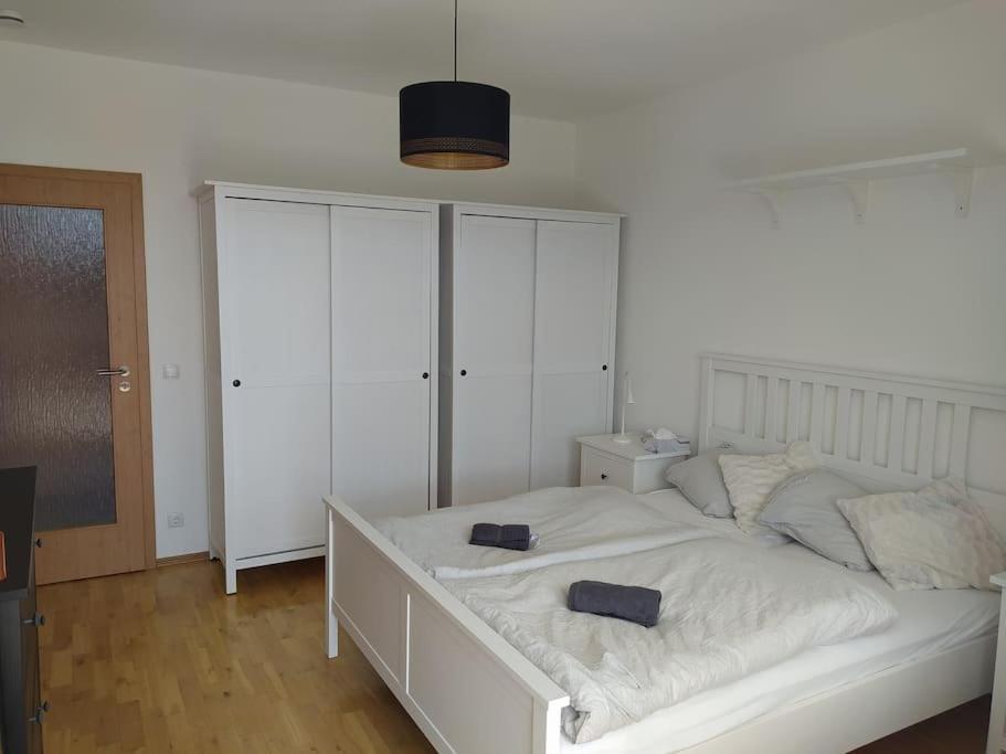 Apartmán Apratman Julie - Bavorska Ruda Bayerisch Eisenstein Exteriér fotografie