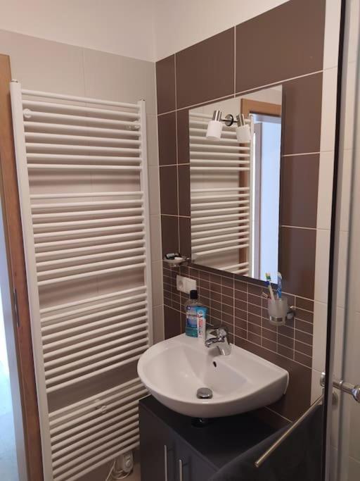 Apartmán Apratman Julie - Bavorska Ruda Bayerisch Eisenstein Exteriér fotografie