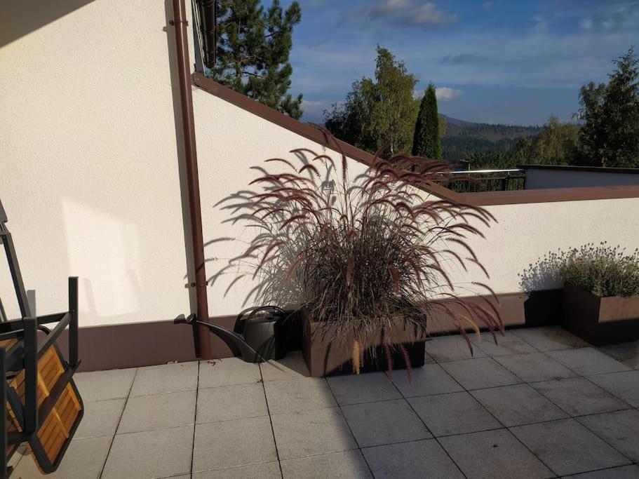 Apartmán Apratman Julie - Bavorska Ruda Bayerisch Eisenstein Exteriér fotografie